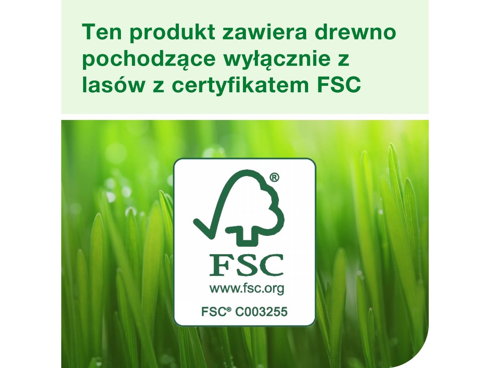 Tork Xpressnap® 273002 Eksluzywny dozownik N4 na serwetki – drewniany orzech włoski
